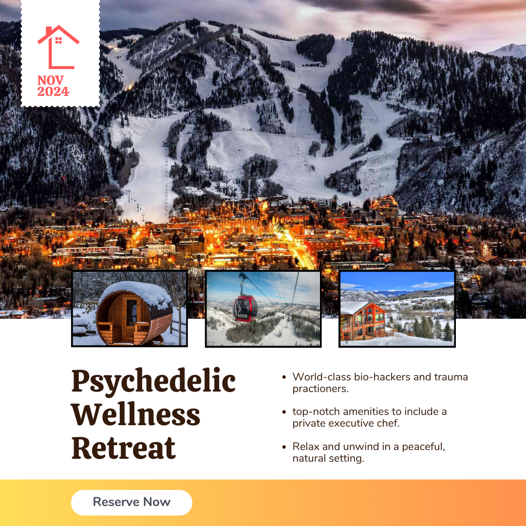 3-Day Executive Wellness Retreat